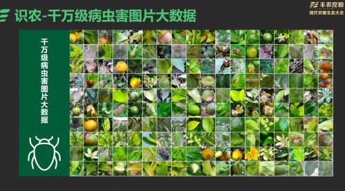 2026重庆北碚小升初报名时间+招生对象+报名材料(图1)