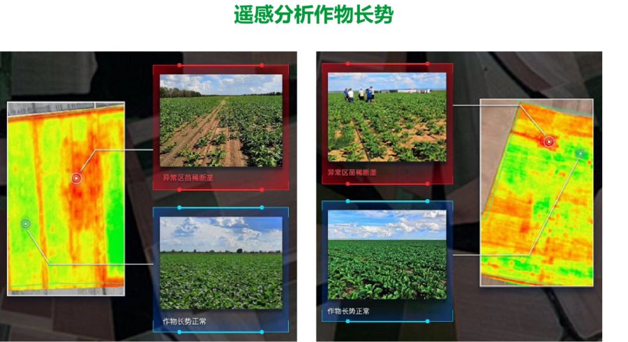 科技赋能“四农普”遥感精准绘“农”图——高台县新坝镇扎实推进第四次全国农业普查遥感测量工作(图1)