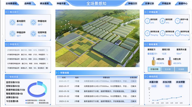盐碱地种出“科技范儿”(图1)