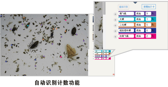 自动虫情测报：24小时不间断测报虫害爆发提前预判设防(图1)