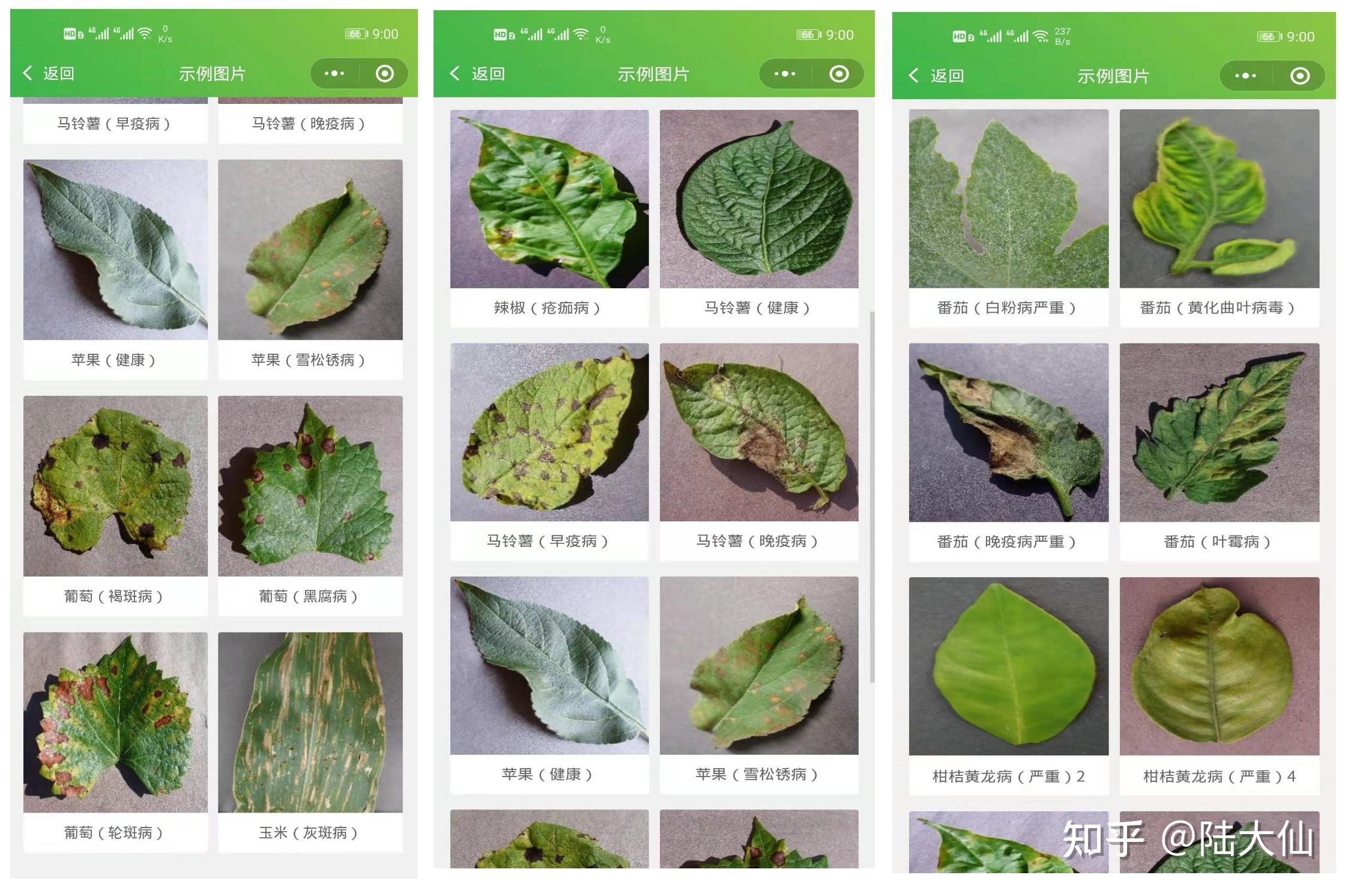 基于大数据植物病虫害的识别装置(图1)