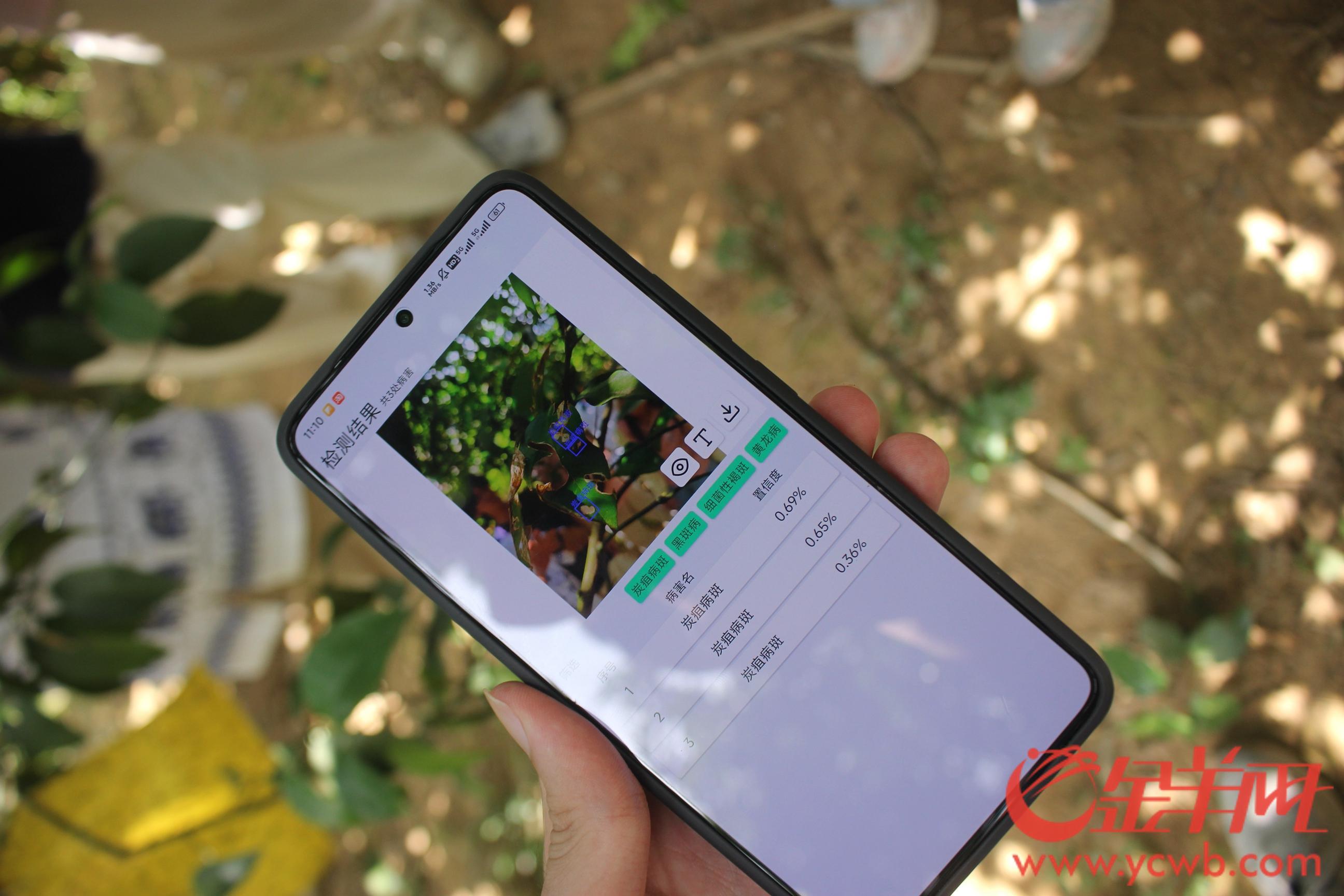 《AI时代小微经营者观察》发布：7成小微被挡在AI门外需算力、金融等各方共助降门槛(图1)