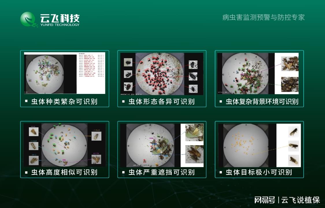 中联新材科技虫情测报灯:智能测报防虫护田助力农业绿色丰产(图1)
