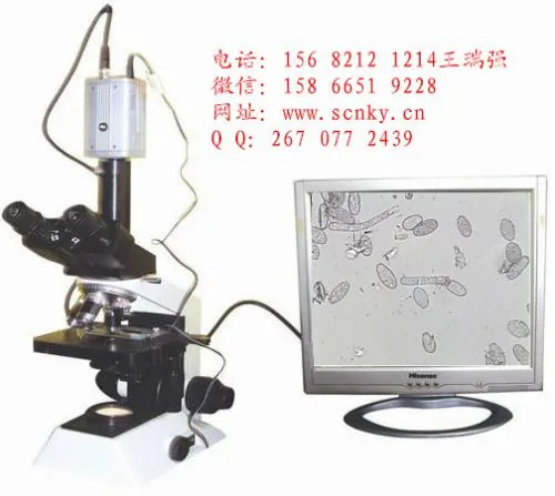 蔬菜种植合作社引入云飞色诱害虫测报设备当年回本(图1)