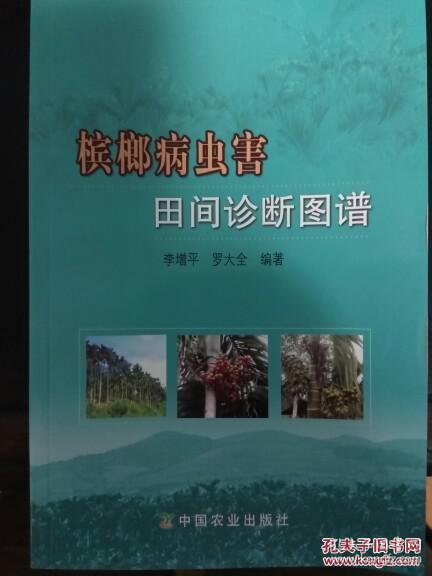 兴县高家村镇：葡萄丰收缀满枝特色产业铺就乡村振兴路(图1)