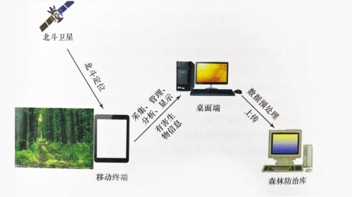 传感器技术在饮料作物病虫害精确定位中的应用(图1)