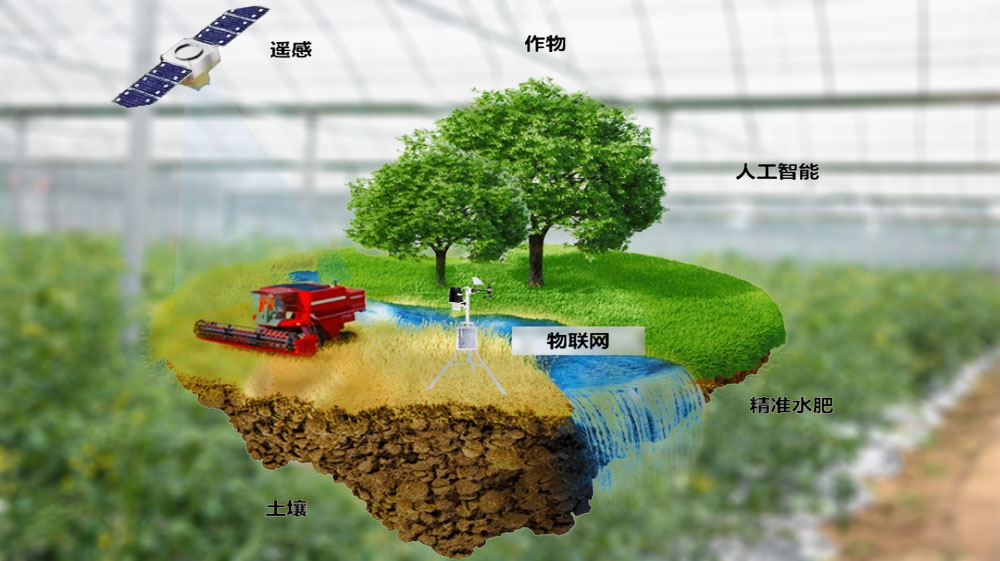 漯河市政协莅临新空安考察调研低空赋能乡村振兴(图1)