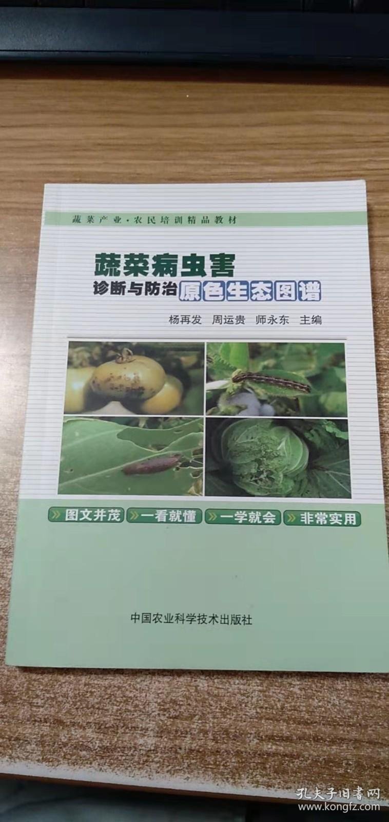 农业农村部:统筹抓好田间管理和农业防灾减灾救灾(图1)
