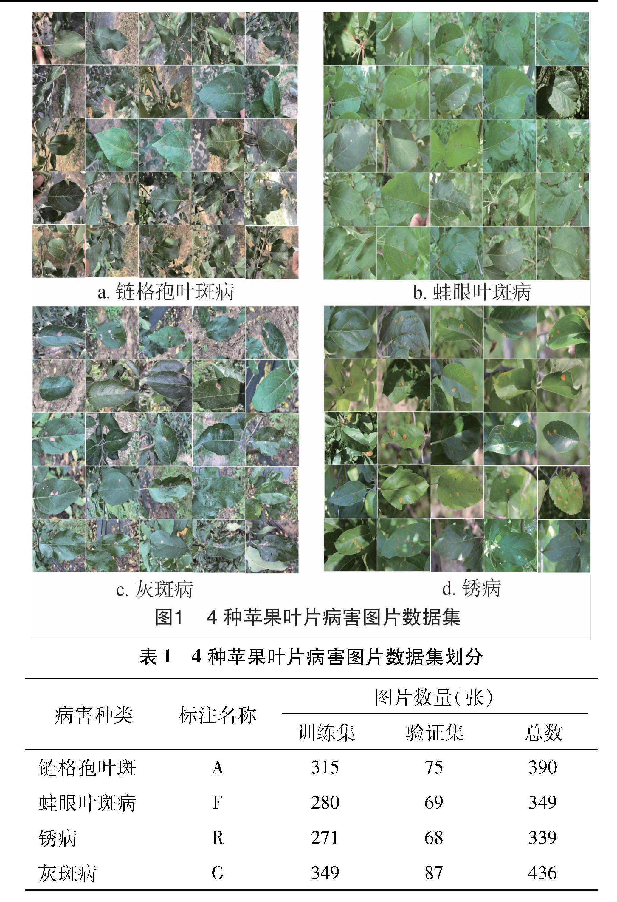 作物病虫害自动识别技术-深度研究(图1)