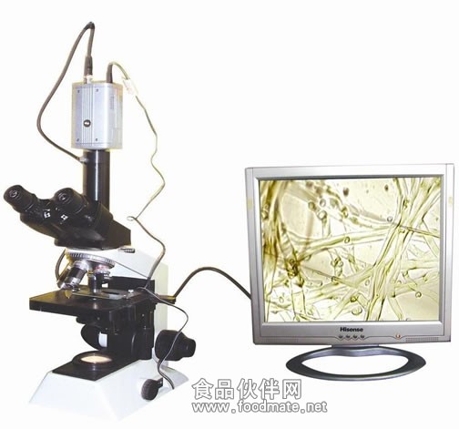 为世遗再现历史风貌贡献“河北力量”(图1)