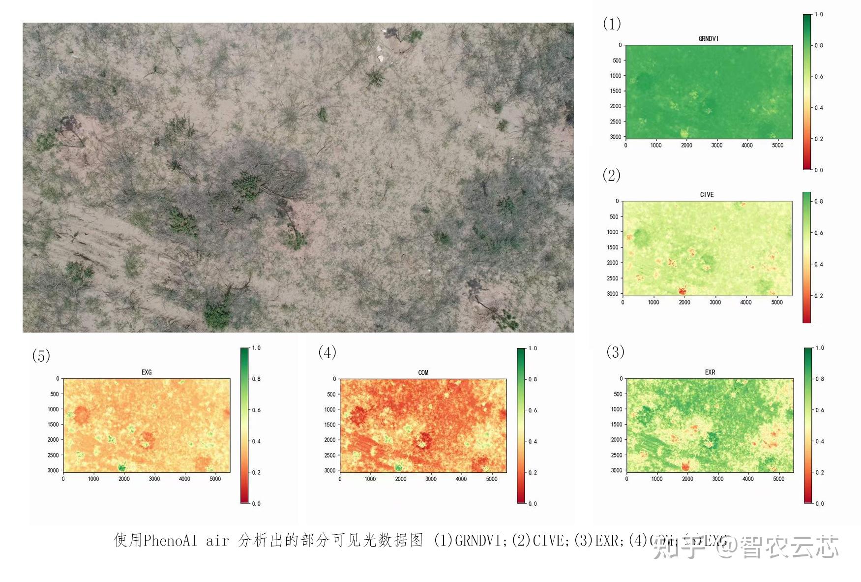 遥感技术在作物生长监测与估产中的应用分析(图1)