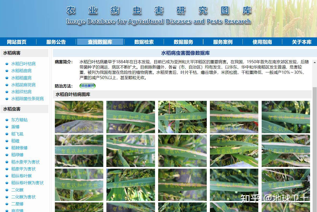 2026中国农业机器人行业:是粮食安全的“手指”也是新农人的“同事”(图1)