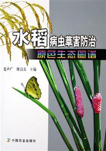 豌豆荚蚜虫农业害虫(图1)