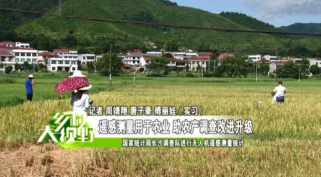 高分辨率遥感：农业农村现代化的“天眼”(图1)