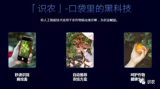 可计量可交易词元正成为智能经济价值锚点(图1)