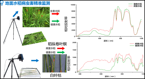 在线害虫远程实时监测系统数字化害虫监测仪(图1)