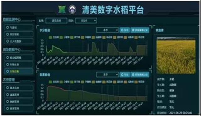 从“保成本”到“保收入”积极落地政策性玉米收入保险试点(图1)