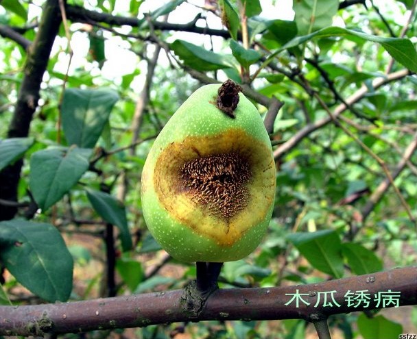 男子找AI择日安葬亡母事后亲戚遇车祸AI软件遭起诉;七旬老太入棺一天后又睁眼“复活”?来听新闻(图1)