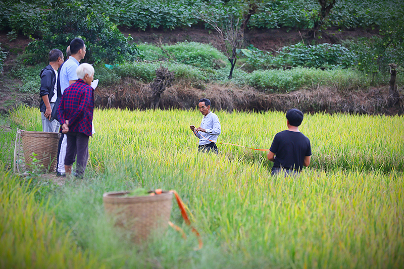到村任职大学生助力撂荒地复耕(图1)